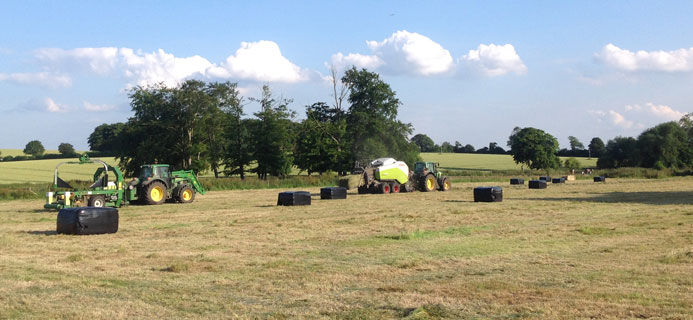 farming-littlestoke-farm