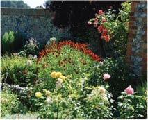 Farming and Horticulture with Flowers